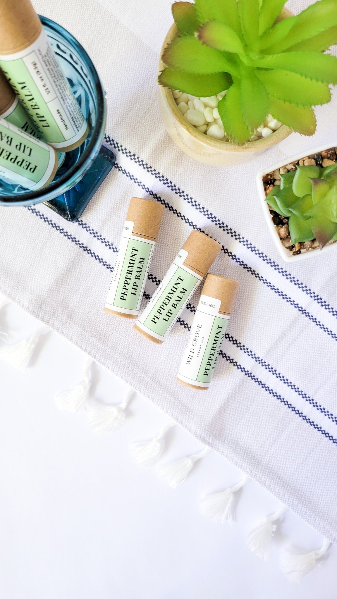 Lip Balm, All-Natural Beeswax in Cardboard Tube
